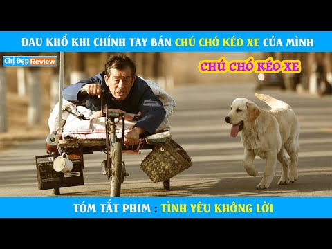 Video: Tài khoản Instagram này chỉ là một chú chó con Shiba lớn