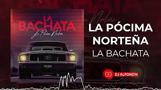 Video thumbnail of "La Pócima Norteña - La Bachata (2022)"