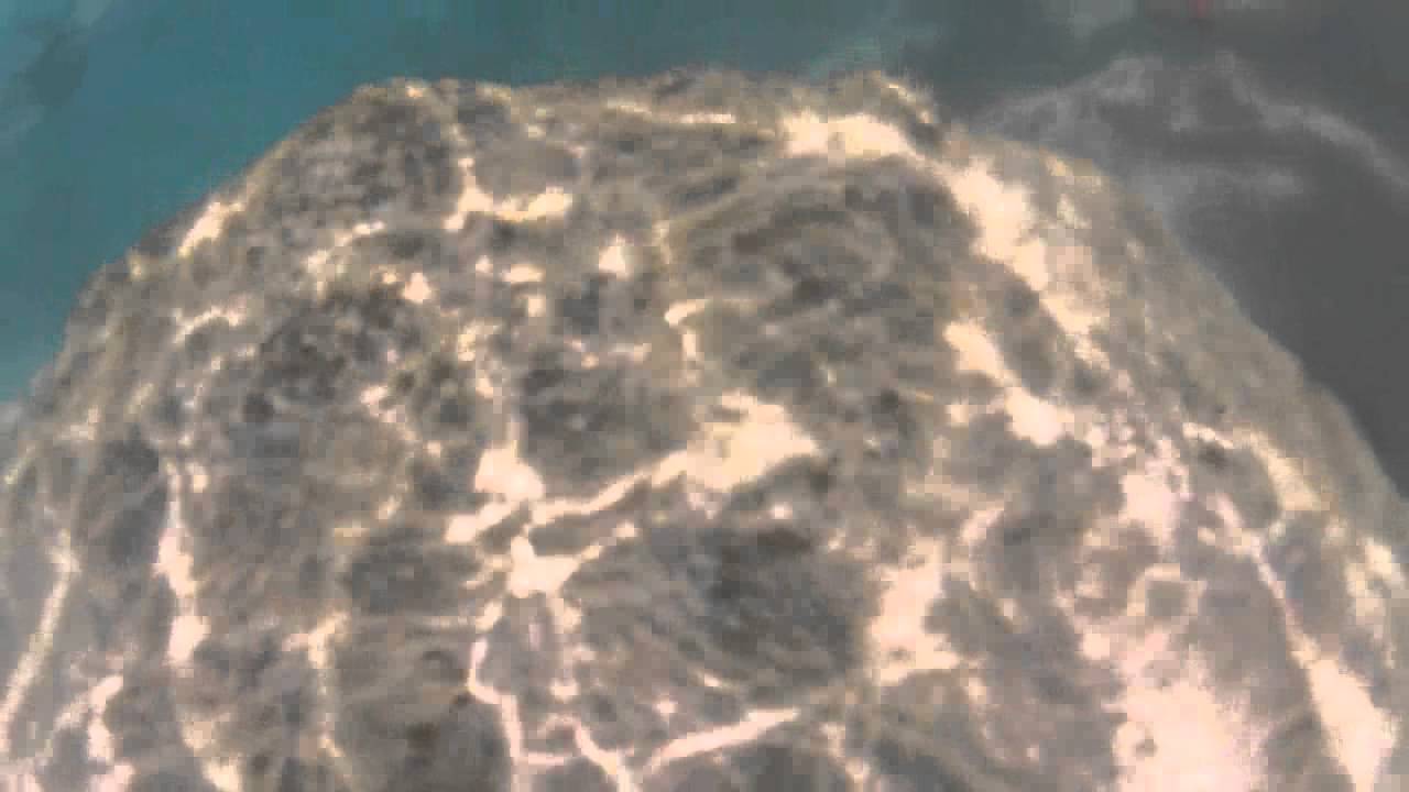 Horseshoe Bay beach Snorkeling YouTube