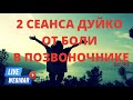 2 СЕАНСА ОТ БОЛИ В ПОЗВОНОЧНИКЕ. ДУЙКО