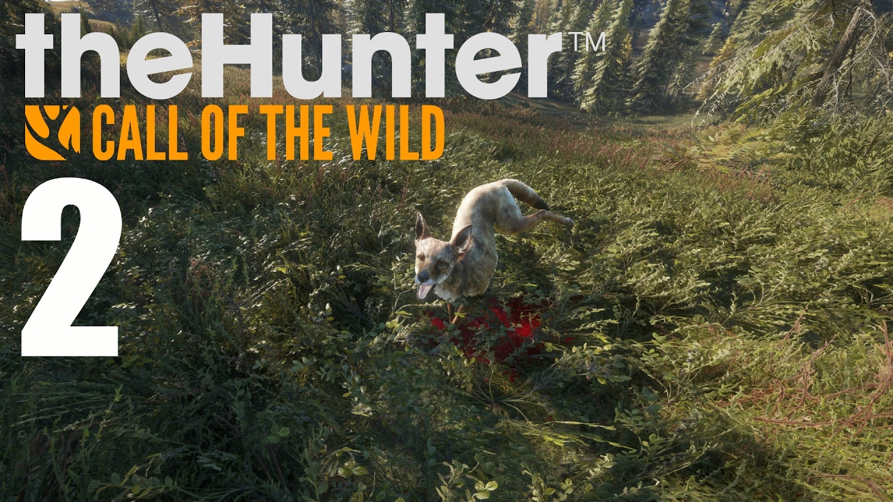 Hey everyone I got another episode of my TheHunter COTW series and we got t...