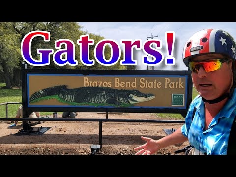 Brazos Bend State Park — field still 1