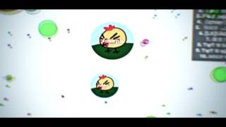 WTF.avi