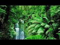 Relaxing water falls  meditation music  10 min relaxing music