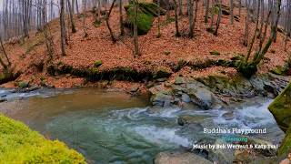 Healing Piano Music for Calm, Focus & Nervous System Reset