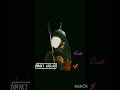 حي الي لابس ريشاته لا يوم كيومك يا ابا عبد الله حي الي لابس ريشاته لا يوم كيومك يا ابا عبد الله