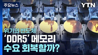 위기의 반도체 업계…'DDR5 메모리' 돌파구 될까? / YTN