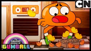 El Héroe | El Increíble Mundo de Gumball en Español Latino | Cartoon Network