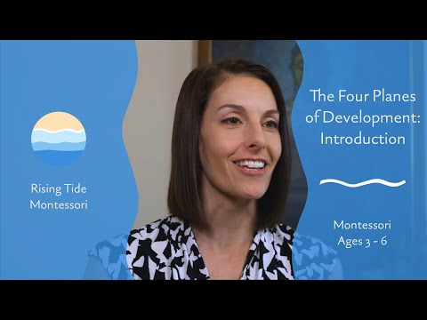 Introduction to the Four Planes of Development