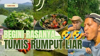 TUMIS RUMPUT LIAR DAN PETIK BUAH LANGKA 🤣🤣