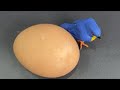 RAW EGG PEELING - Moha melo