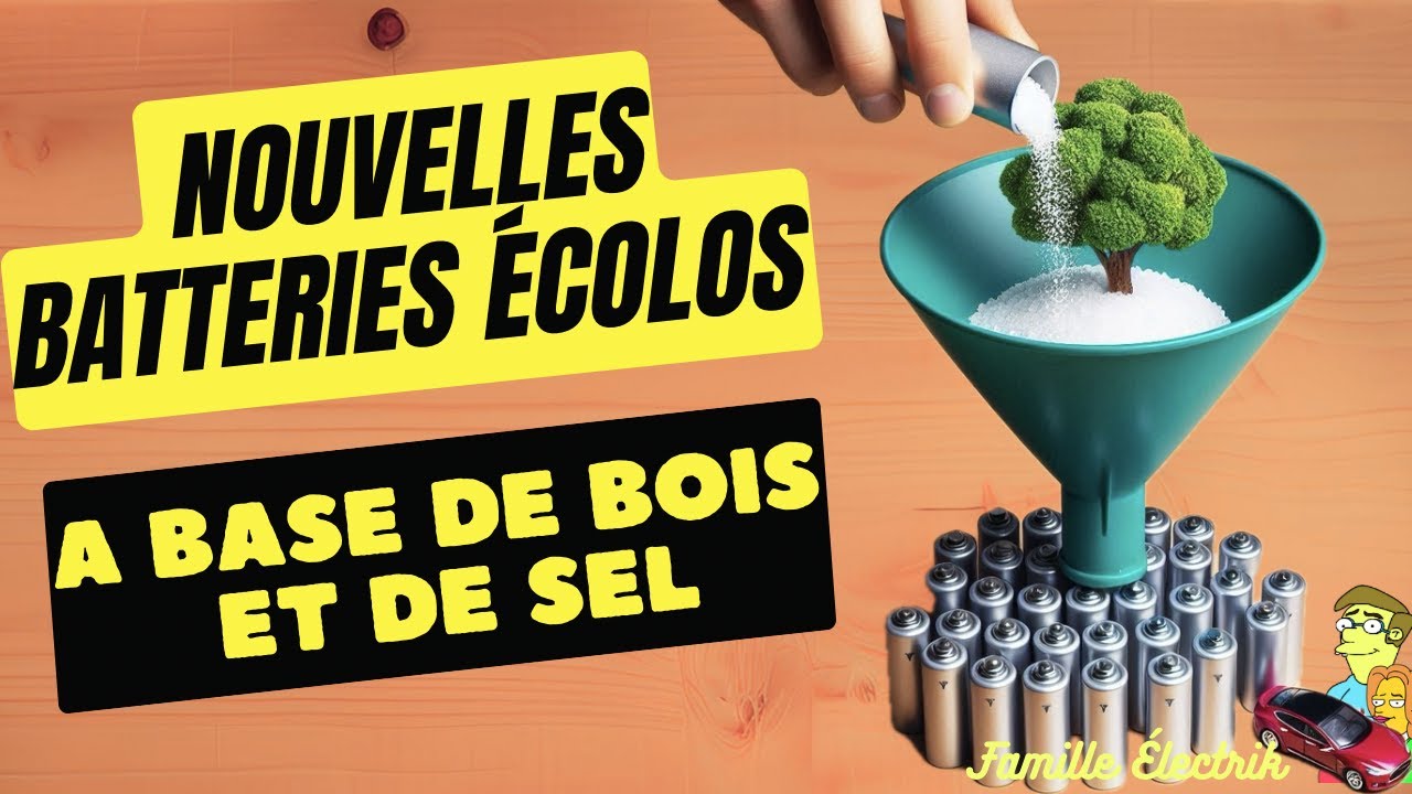 🔋🌳 Batteries en bois et sel made in Europe Futur écolo ! YouTube — free download