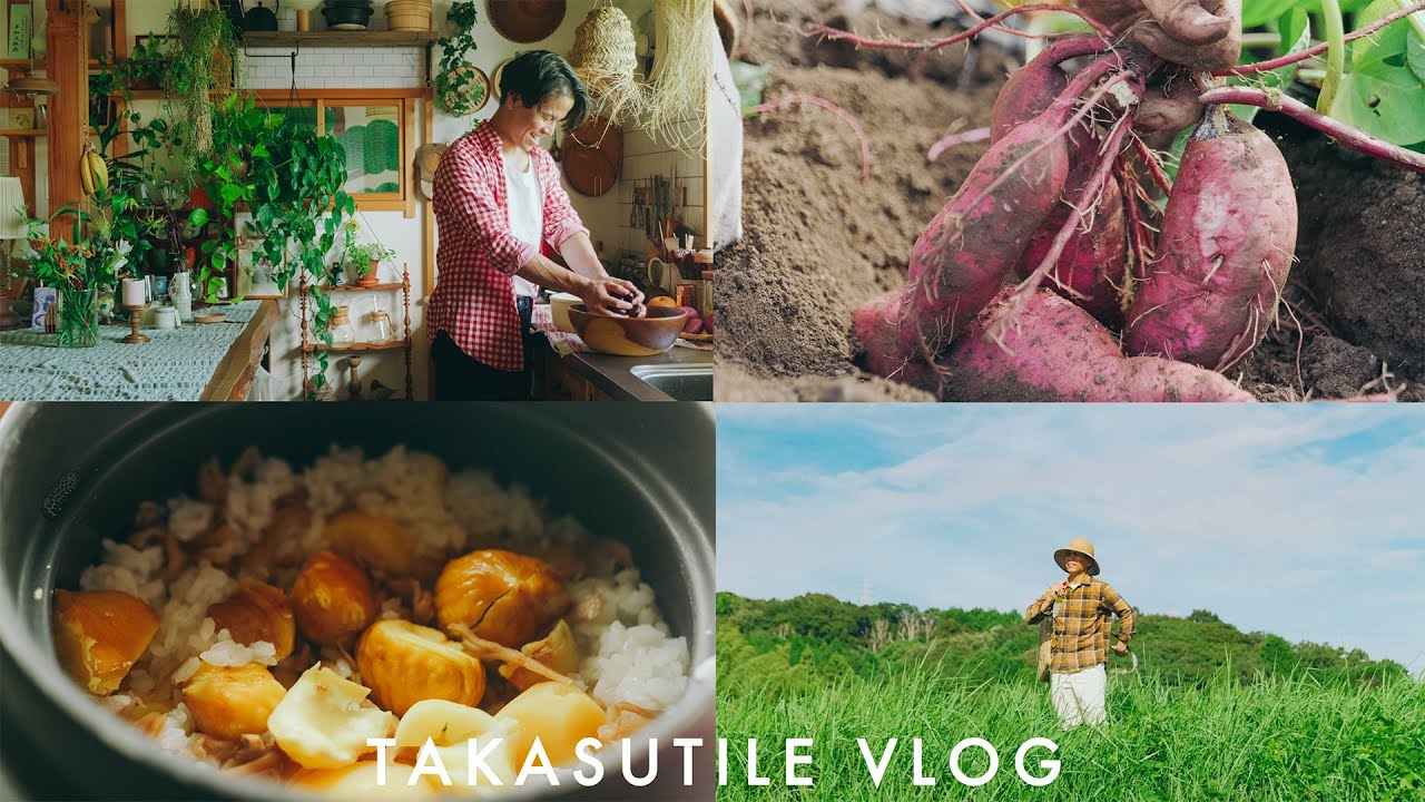 День, когда семья в сельской местности живет самостоятельно, начинается осенью в 5 утра.