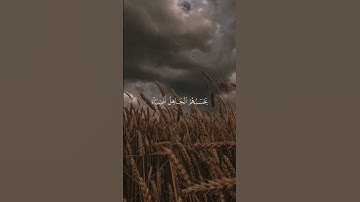 القرآن الكريم سورة البقرة الشيخ ياسر الدوسري ❤️ اكتب شي تؤجر عليه