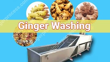 Ginger Air Bubble Water Washing Machine