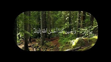 الشيخ محمد أيوب سورة القصص الاية 77 🪐.