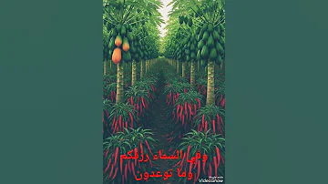 يابن ادم خلقتك للعباده فلا تلعب واقسمت لك رزقك فلاتتعب 