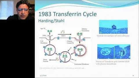 Rey Magana - Introduction to exosomes and other extracellular vesicles the “the bodies molecular int