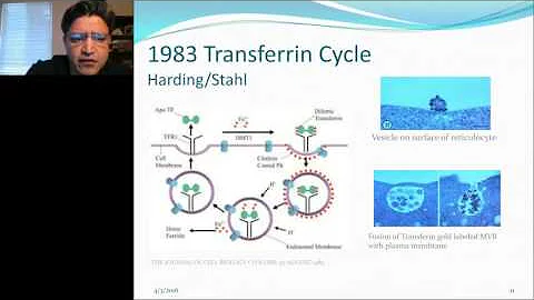 Rey Magana - Introduction to exosomes and other extracellular vesicles the “the bodies molecular int