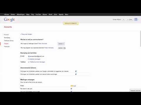 Video: Hoe Het Paneel In Google Aan Te Passen