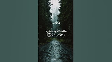 فَسُبْحَانَ اللَّهِ || سورة الروم || عبد الباسط عبد الصمد