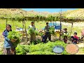 Secrets of nomadic life in Zagros 🌿| Building a natural canopy + baking traditional bread over fire🔥