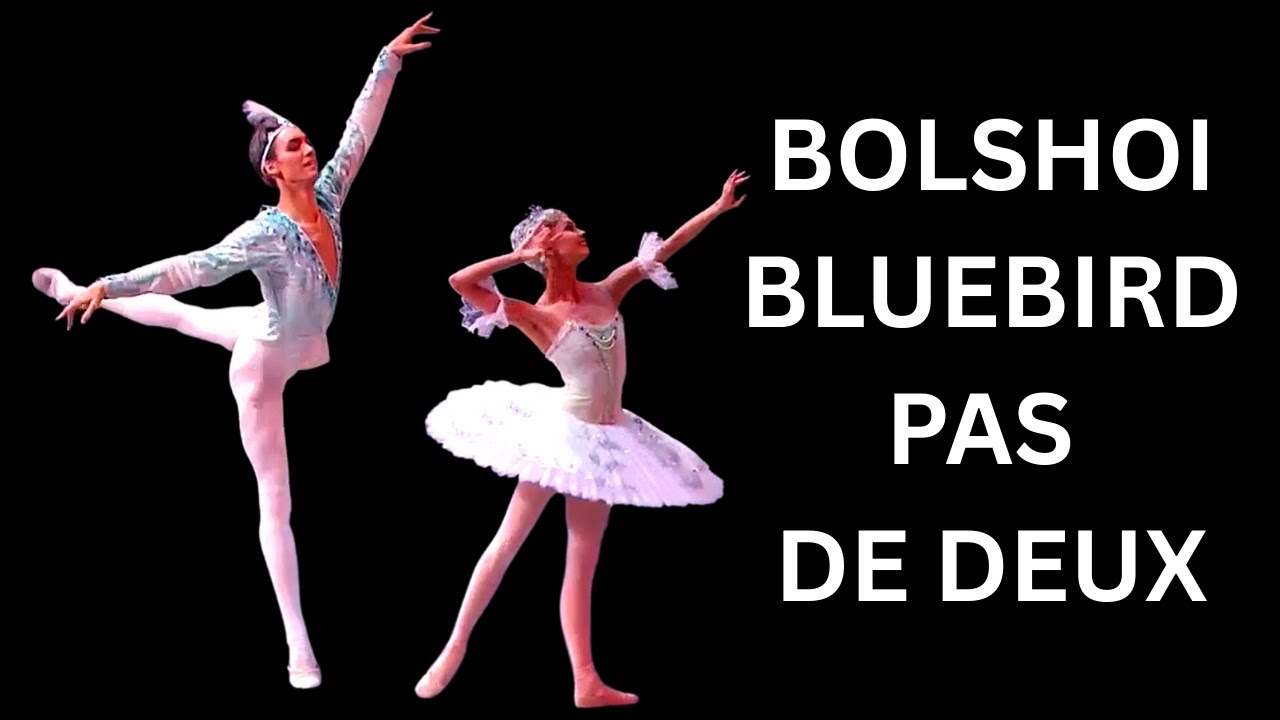 Bluebird Pas de Deux Variations & Coda Bolshoi Ballet Anastasia Stashkevich & Klim Efimov 2024