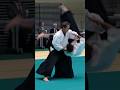 Christian tissier shihan aikido aikikai