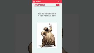 각 나라별 귀신 13탄 #부기맨 #미국 #침대 #벽장 #옷장 #괴담 #공포 #호러 #귀신 #유령 #요괴 #공포썰 #괴담썰 #귀신썰 #공포이야기 #무서운이야기 #여름