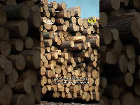 صلة الغابات بإيكيا #وثائقيات #shorts