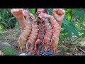 Yummy Giant Tiger Shrimp Cooking - Giant Tiger Shrimp Stir Fry Recipe - Cooking With Sros