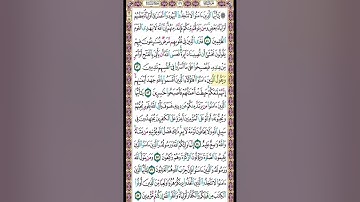 صفحة 117 من القرآن الكريم بصوت القارئ الشيخ ميثم التمار