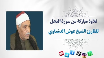 تلاوة مباركة من سورة النحل - القارئ الشيخ حسن عوض الدشناوي