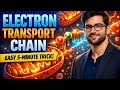 Learn Electron Transport Chain(ETC) in 10 min||Trick for learning ETC||mdcat/fsc students