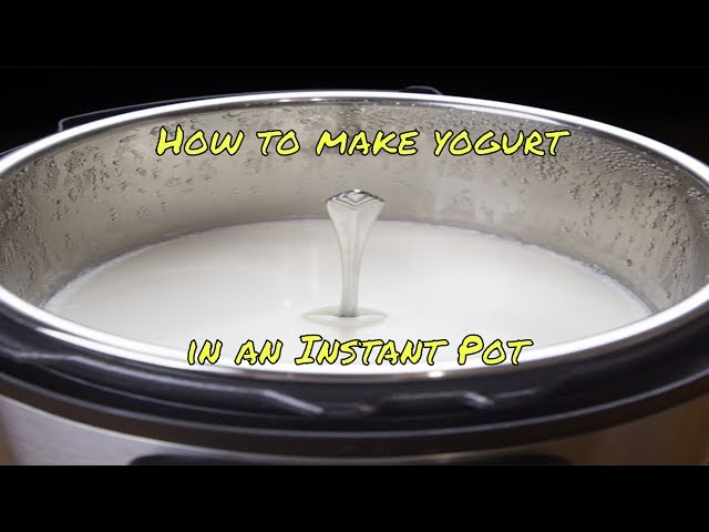 Instant Pot Cooking | Making yogurt