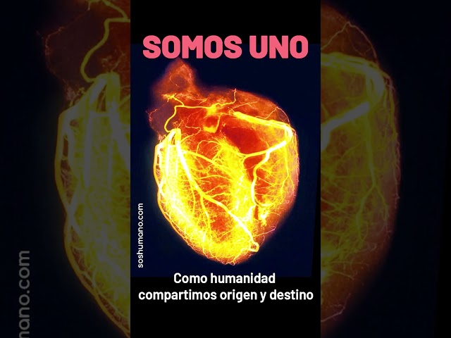 Somos uno. Ana Rico #energía #conciencia #unión #humanidad #esenciahumana