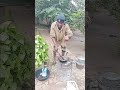 Song Papa Kishajuu Dance Coversong Lifeisbutadream Dj 