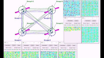 Neural circuitry simulation-Arle Lab-Harvard Medical School-Kris Carlson