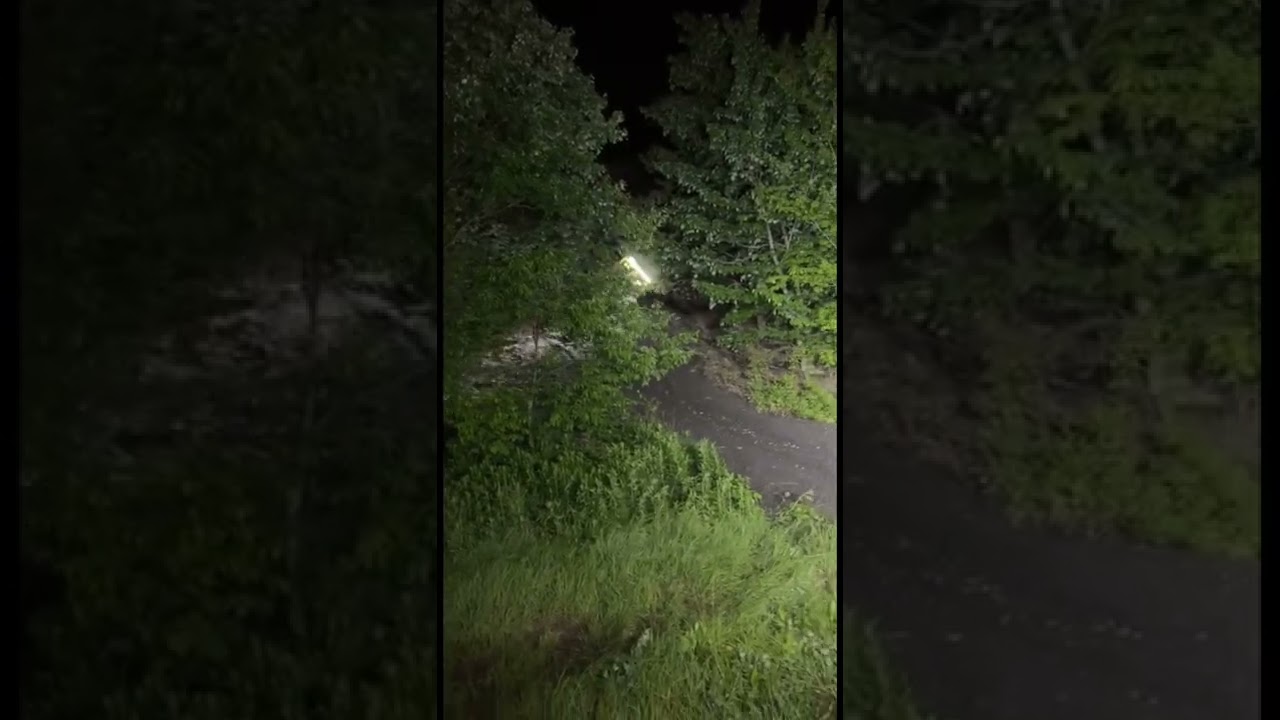 Crazy YXZ roll, everyone was okay