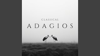 Symphony No. 6 in B Minor, Op. 74 "Pathétique" : I. Adagio - Allegro non troppo