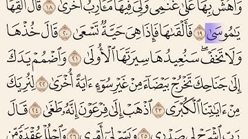 القارئ: حافظ مدثر