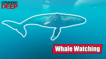 Stranded Deep - Going on a cruise to see whales!