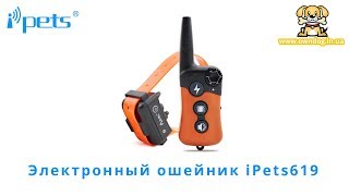 iPets 619 электроошейник купить для маленьких собак в Украине iPets 619 электроошейник купить для маленьких собак в Украине