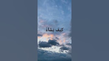 سورة آل عمران - د/عادل أحمد زكي
