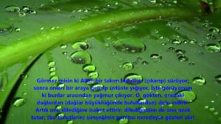 NUR-(NÛR)-SURESİ-Ebubekir Şatiri (Abu Bakr Al Shatri)