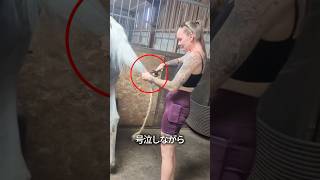 彼女の涙のわけ