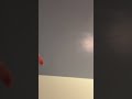There goes gravity