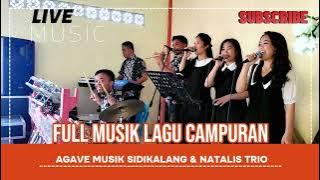 NONSTOP LAGU BATAK PESTA | AGAVE MUSIK SIDIKALANG & NATALIS TRIO