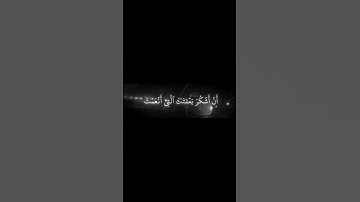 سورة الاحقاف الاية 15 | القارئ محمد اللحيدان🖤🤍