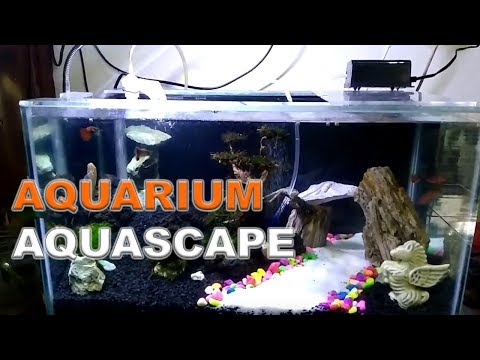 aquarium-aquascape-|-aquascape-air-terjun-|-aquarium-ikan-hias-|-ikan-hias